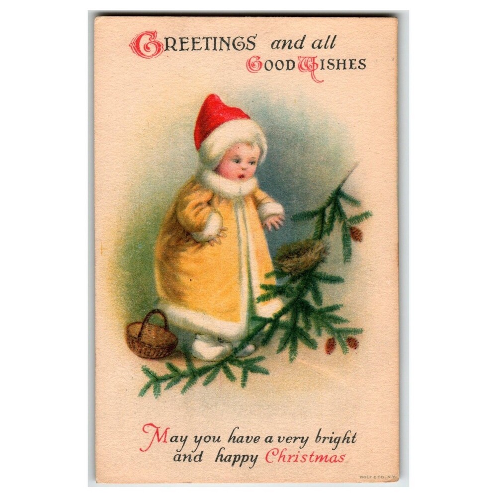 1920 Christmas Postcard Baby in Fur Coat Bird Nest Pinecones Wolfe Clapsaddle